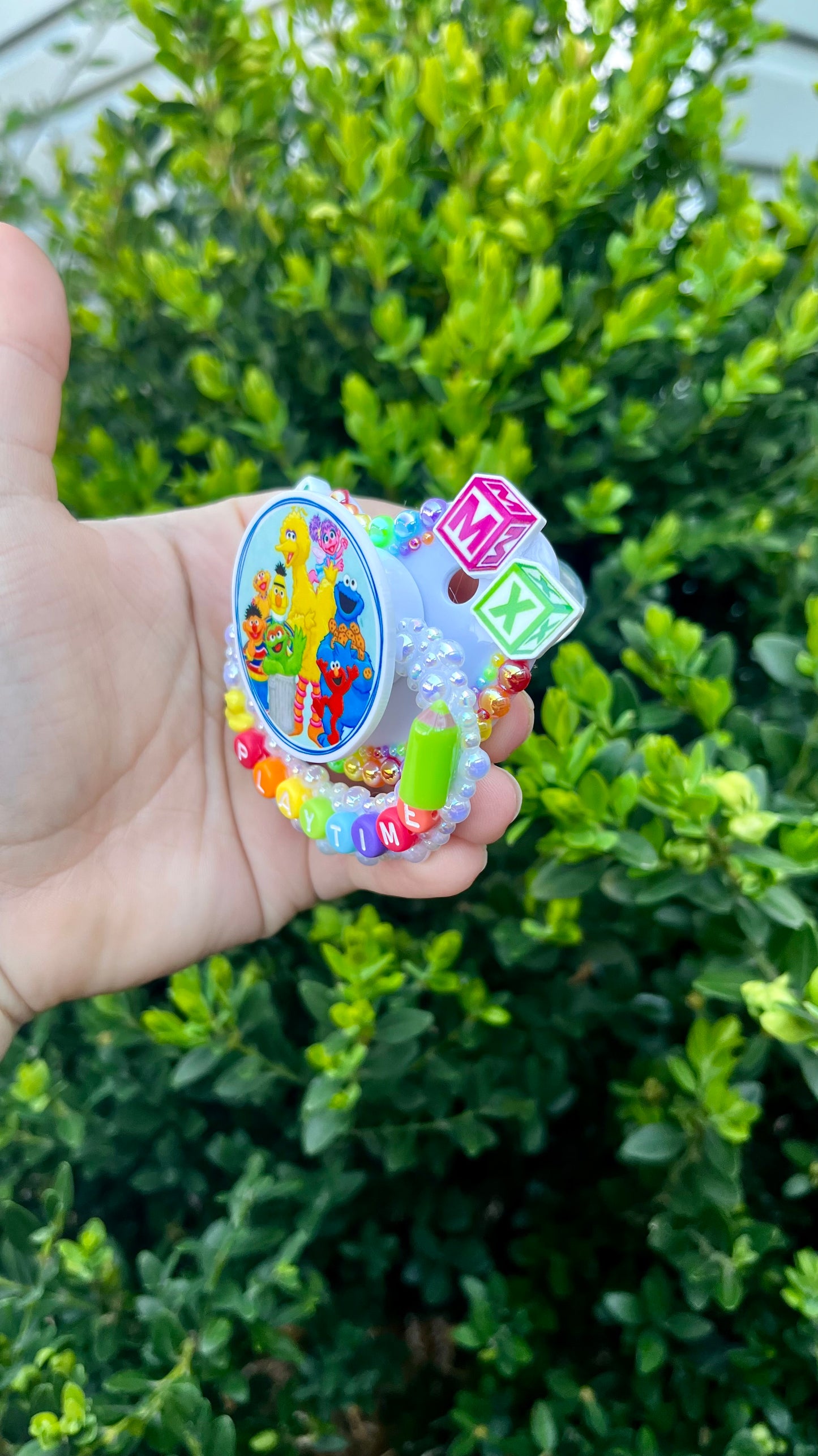 Sesame Street playtime paci