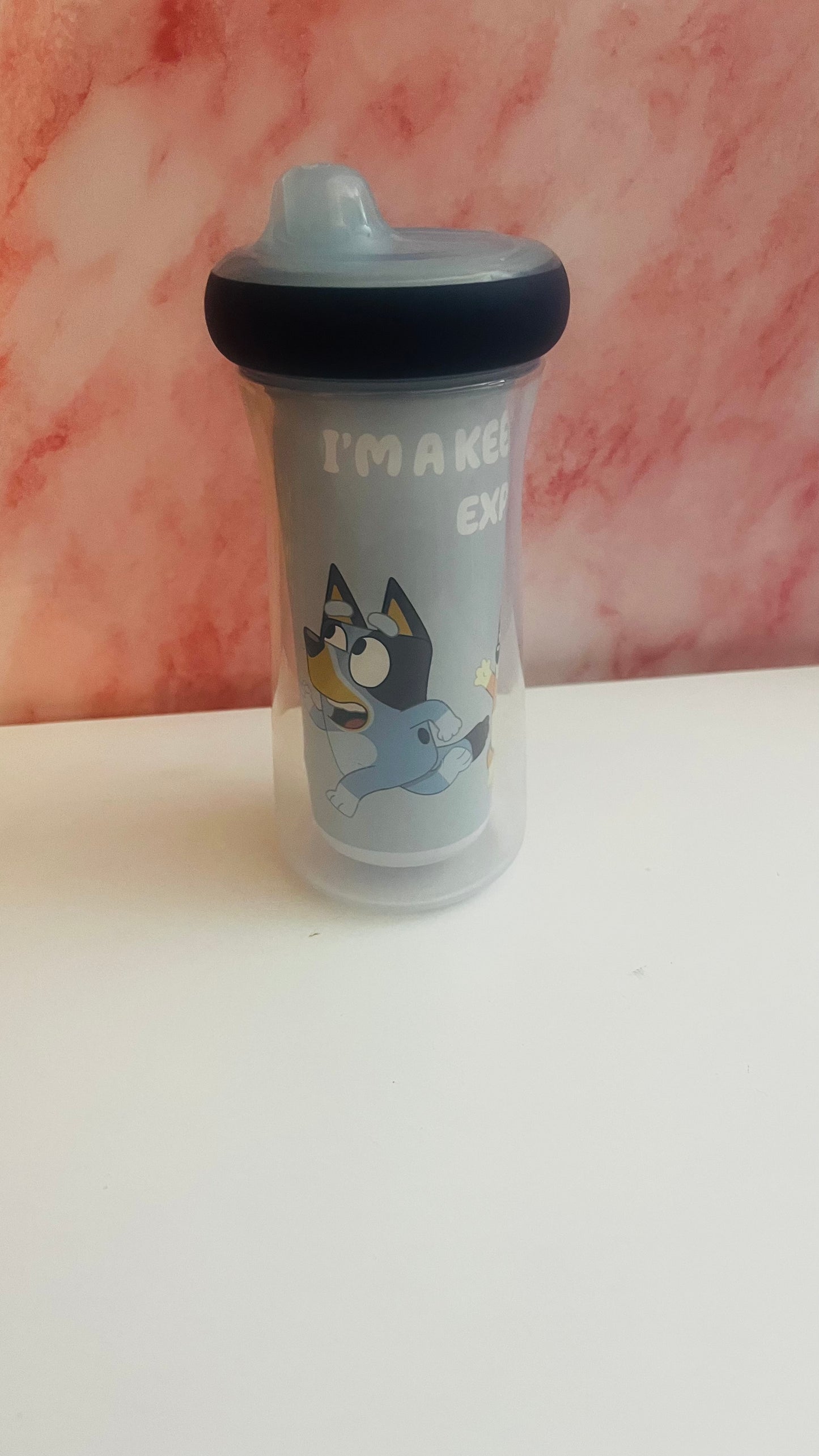 Bluey sippy cup