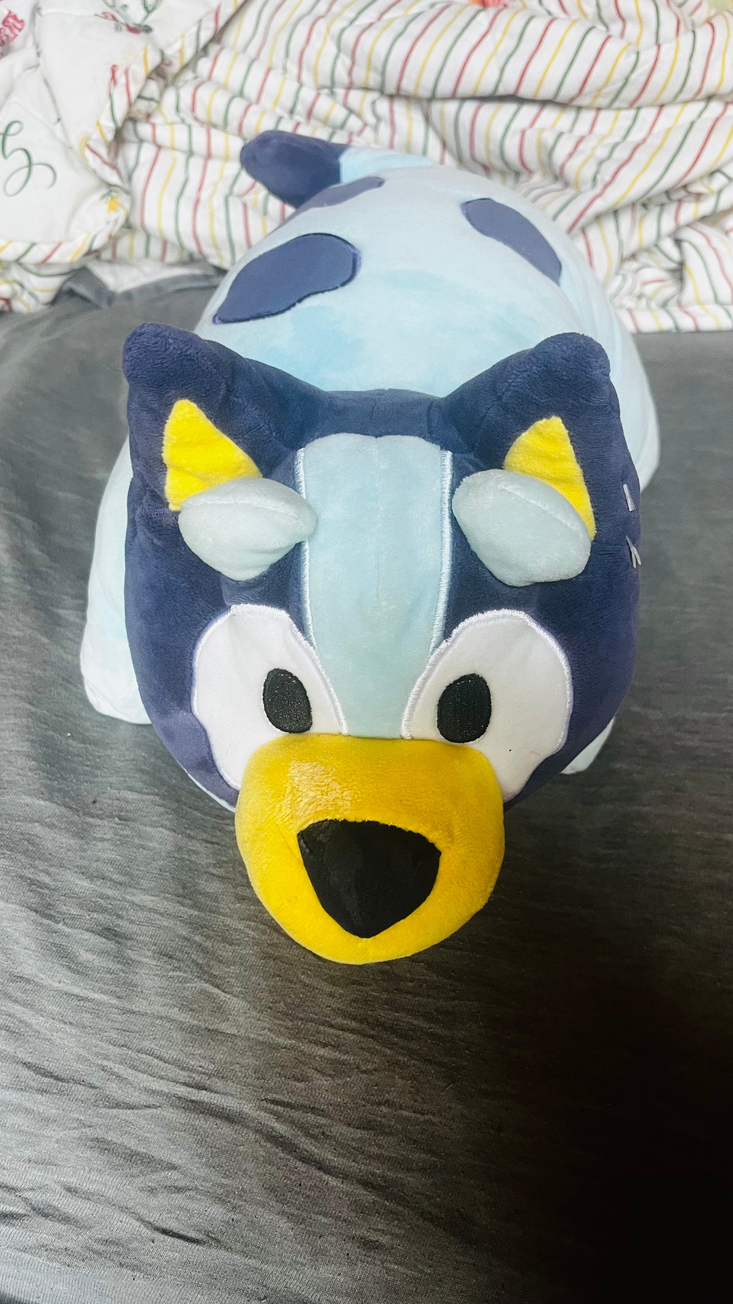 Bluey pillow pet